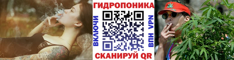 наркота  Гудермес  гидра ТОР  Каннабис Amnesia 